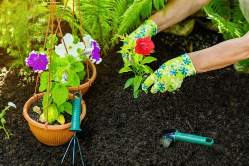 Gardener arranging tools in a van before starting work