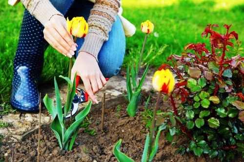 Inspector examining a garden during a complaints investigation
