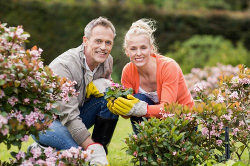 Mid-job image showing garden clearance in progress