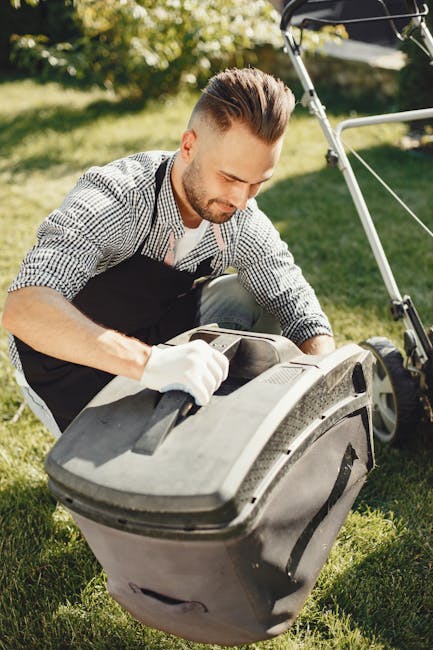 A blue wheelbarrow situated on a grassy lawn, filled with freshly cut green branches and leaves, likely from recent garden pruning or tree work. The wheelbarrow is positioned on a patch of grass that 