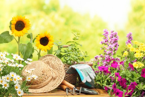 Seasonal garden maintenance activities