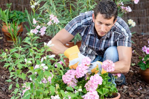 Professional landscape design process
